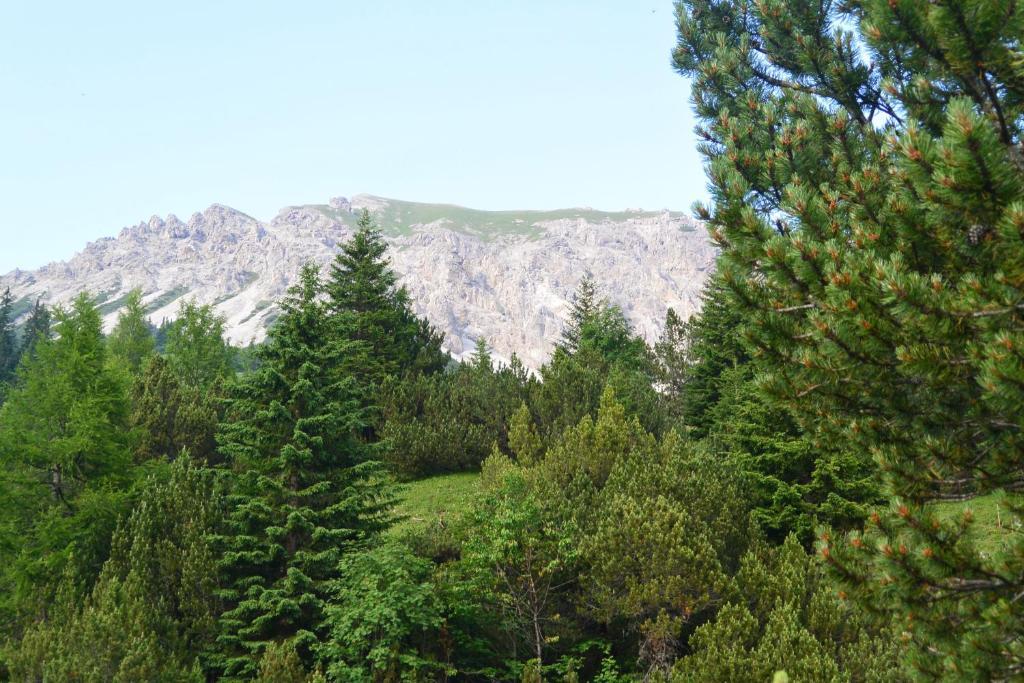Voegeli Alpenhotel מאלבון מראה חיצוני תמונה